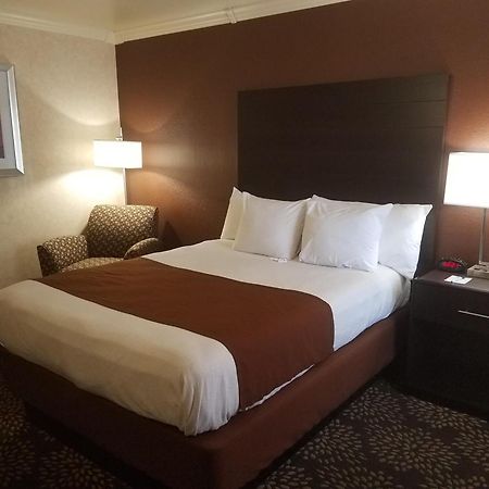 Best Western Innsuites Tucson Foothills Hotel & Suites מראה חיצוני תמונה
